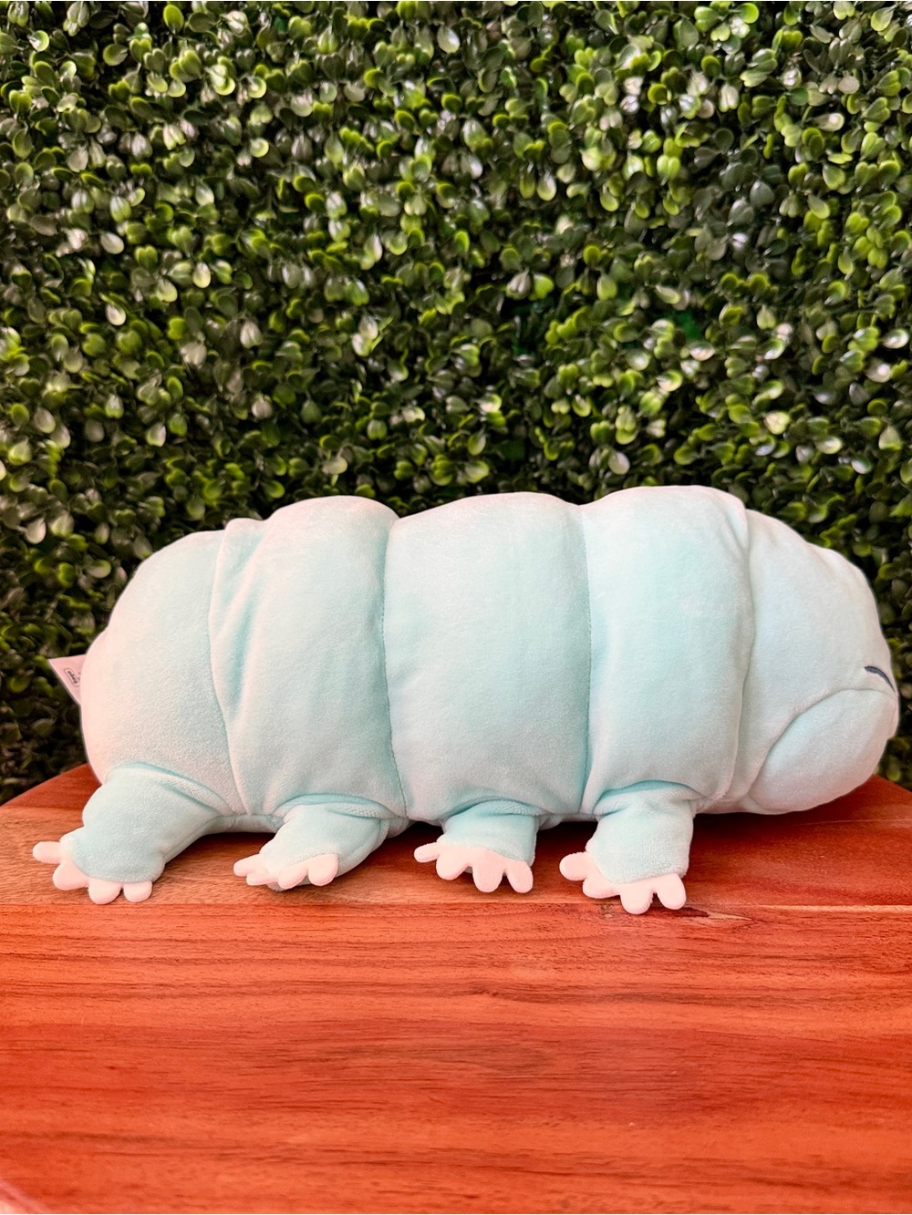 Zuru Hug-A-Lumps Sage the Sea Bear Weighted Plush - Picture 4 of 6